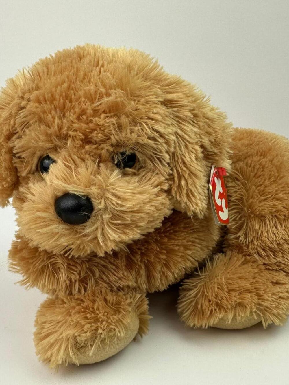 TY Classics Collection “Honey” the Golden Retriever Non-Mint Hang Tag (13 inch)